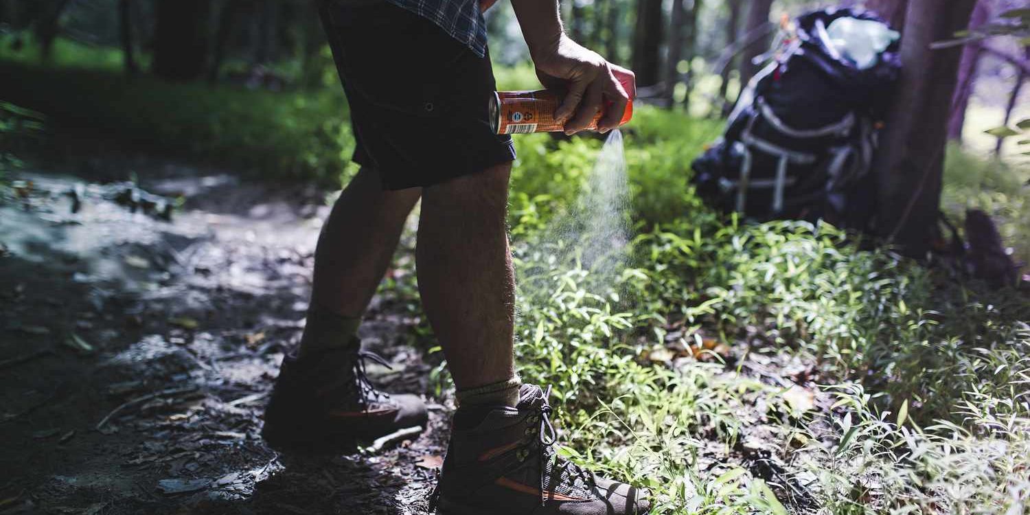 How to Prevent Bug Bites While Camping Cedar Grove Park RV Resort