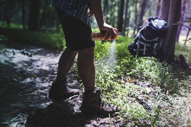 How to Prevent Bug Bites While Camping How to Prevent Bug Bites While Camping