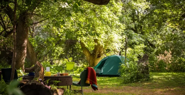 A Look at Green Initiatives in RV Parks A Look at Green Initiatives in RV Parks