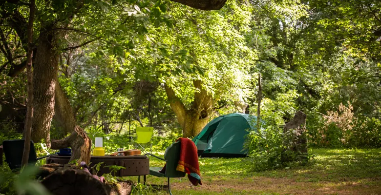 A Look at Green Initiatives in RV Parks