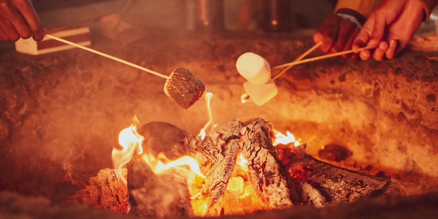 The Art of Campfire Cooking The Art of Campfire Cooking