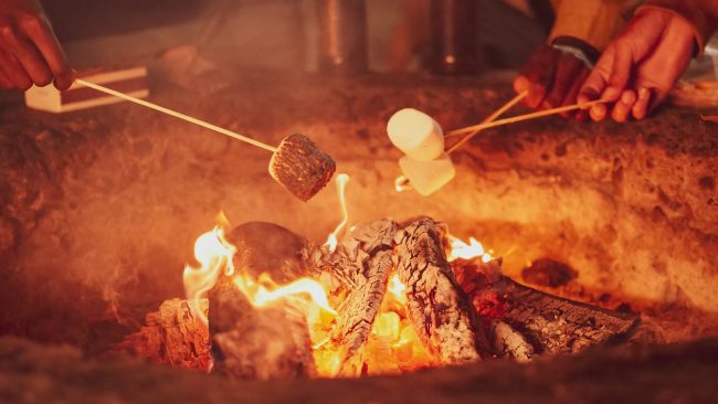 The Art of Campfire Cooking The Art of Campfire Cooking